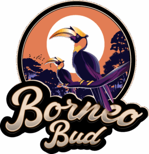 BB_1200DPI_PNG (1)