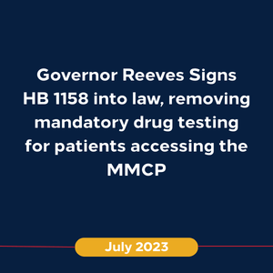 Copy of New Timeline 1 (July 2023)