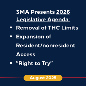 New Timeline 1 (2025) (1)