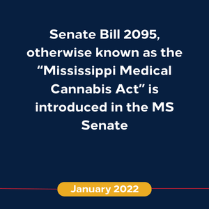 New Timeline 1 (August 2021) (1)