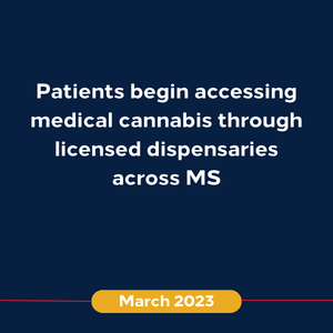 New Timeline 1 (March 2023)