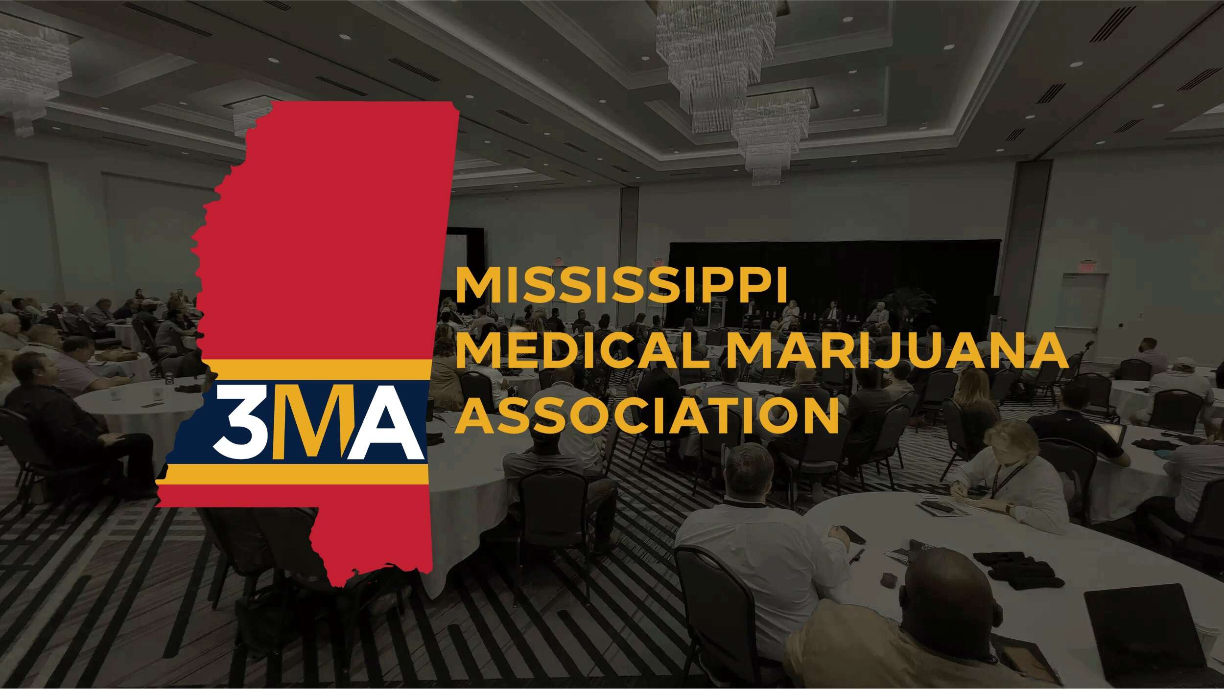 Mississippi Medical Marijuana Association