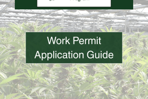 MMCP Work Permit Application Guide